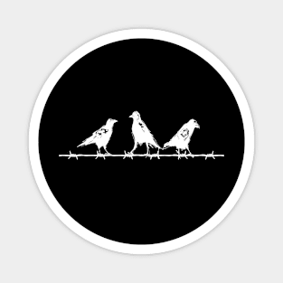 Crows on a Barbed Wire Magnet